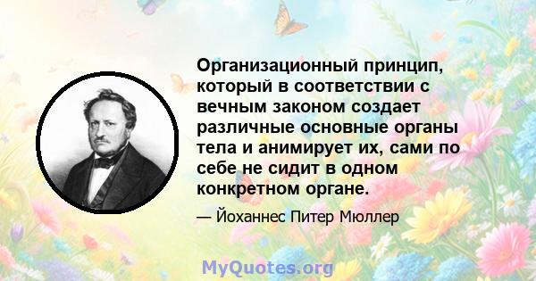 Организационный принцип, который в соответствии с вечным законом создает различные основные органы тела и анимирует их, сами по себе не сидит в одном конкретном органе.