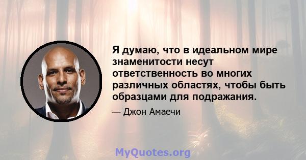 Я думаю, что в идеальном мире знаменитости несут ответственность во многих различных областях, чтобы быть образцами для подражания.