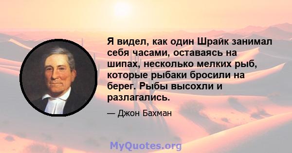 Я видел, как один Шрайк занимал себя часами, оставаясь на шипах, несколько мелких рыб, которые рыбаки бросили на берег. Рыбы высохли и разлагались.