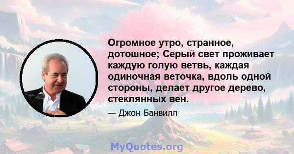 Огромное утро, странное, дотошное; Серый свет проживает каждую голую ветвь, каждая одиночная веточка, вдоль одной стороны, делает другое дерево, стеклянных вен.