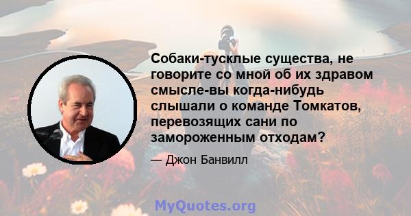 Собаки-тусклые существа, не говорите со мной об их здравом смысле-вы когда-нибудь слышали о команде Томкатов, перевозящих сани по замороженным отходам?