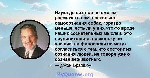 Наука до сих пор не смогла рассказать нам, насколько самосознания собак, гораздо меньше, есть ли у них что-то вроде наших сознательных мыслей. Это неудивительно, поскольку ни ученые, ни философы не могут согласиться с