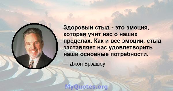 Здоровый стыд - это эмоция, которая учит нас о наших пределах. Как и все эмоции, стыд заставляет нас удовлетворить наши основные потребности.