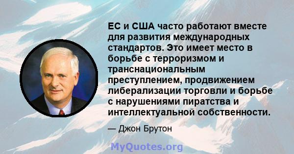 ЕС и США часто работают вместе для развития международных стандартов. Это имеет место в борьбе с терроризмом и транснациональным преступлением, продвижением либерализации торговли и борьбе с нарушениями пиратства и