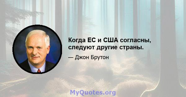 Когда ЕС и США согласны, следуют другие страны.