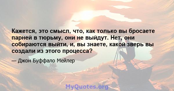 Кажется, это смысл, что, как только вы бросаете парней в тюрьму, они не выйдут. Нет, они собираются выйти, и, вы знаете, какой зверь вы создали из этого процесса?