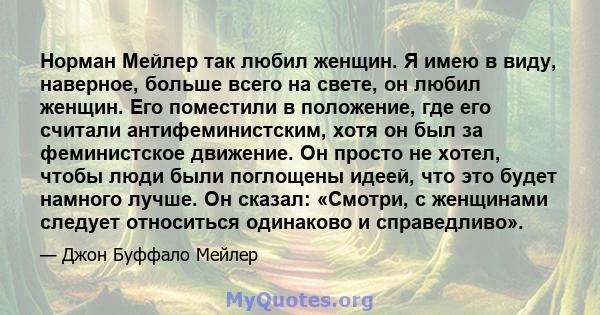 Норман Мейлер так любил женщин. Я имею в виду, наверное, больше всего на свете, он любил женщин. Его поместили в положение, где его считали антифеминистским, хотя он был за феминистское движение. Он просто не хотел,