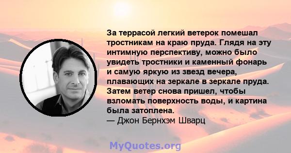 За террасой легкий ветерок помешал тростникам на краю пруда. Глядя на эту интимную перспективу, можно было увидеть тростники и каменный фонарь и самую яркую из звезд вечера, плавающих на зеркале в зеркале пруда. Затем