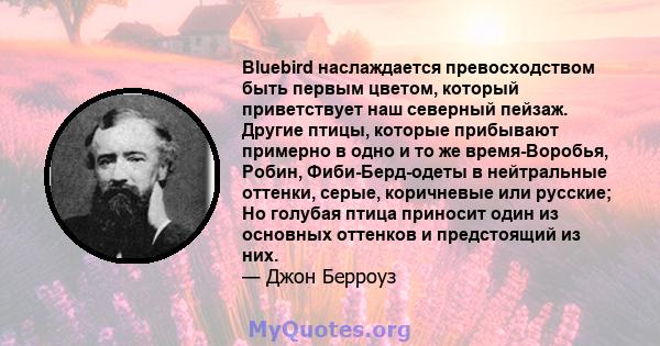 Bluebird наслаждается превосходством быть первым цветом, который приветствует наш северный пейзаж. Другие птицы, которые прибывают примерно в одно и то же время-Воробья, Робин, Фиби-Берд-одеты в нейтральные оттенки,