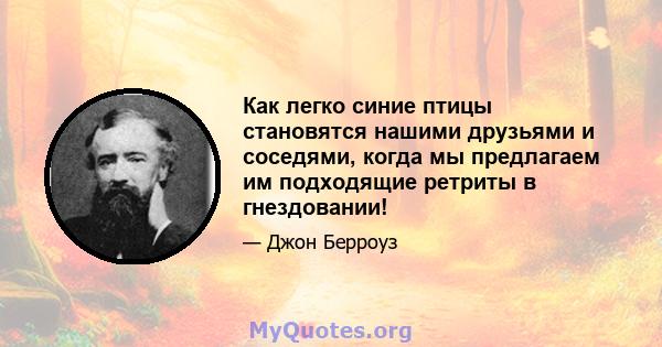 Как легко синие птицы становятся нашими друзьями и соседями, когда мы предлагаем им подходящие ретриты в гнездовании!