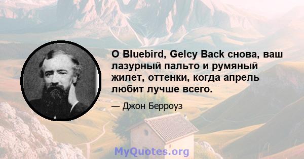 O Bluebird, Gelcy Back снова, ваш лазурный пальто и румяный жилет, оттенки, когда апрель любит лучше всего.