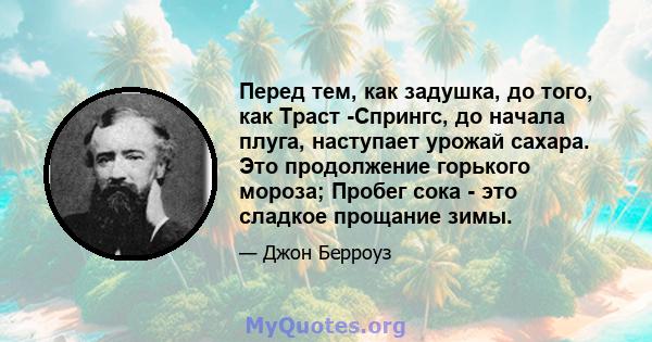 Перед тем, как задушка, до того, как Траст -Спрингс, до начала плуга, наступает урожай сахара. Это продолжение горького мороза; Пробег сока - это сладкое прощание зимы.