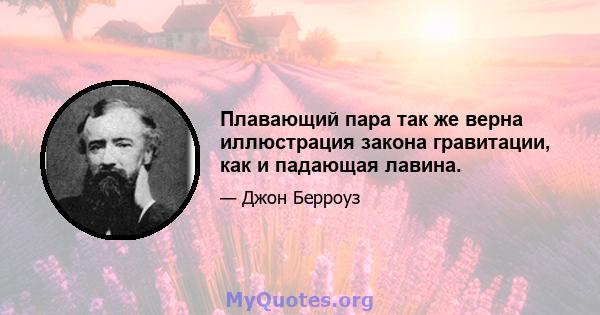 Плавающий пара так же верна иллюстрация закона гравитации, как и падающая лавина.