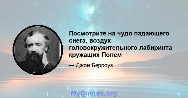 Посмотрите на чудо падающего снега, воздух головокружительного лабиринта кружащих Полем