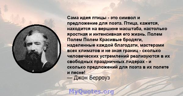 Сама идея птицы - это символ и предложение для поэта. Птица, кажется, находится на вершине масштаба, настолько яростная и интенсивная его жизнь. Полем Полем Полем Красивые бродяги, наделенные каждой благодати, мастерами 