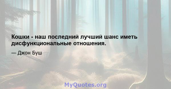 Кошки - наш последний лучший шанс иметь дисфункциональные отношения.