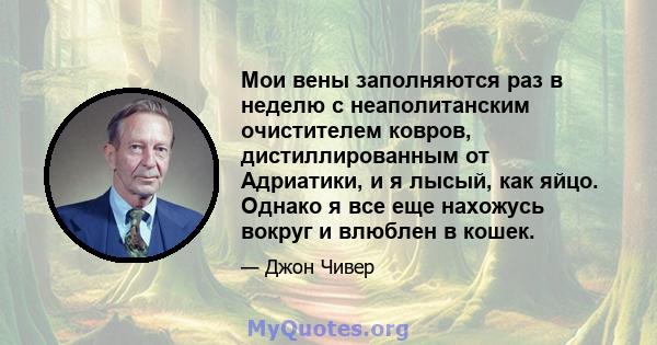 Мои вены заполняются раз в неделю с неаполитанским очистителем ковров, дистиллированным от Адриатики, и я лысый, как яйцо. Однако я все еще нахожусь вокруг и влюблен в кошек.