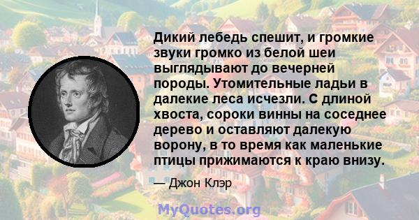 Дикий лебедь спешит, и громкие звуки громко из белой шеи выглядывают до вечерней породы. Утомительные ладьи в далекие леса исчезли. С длиной хвоста, сороки винны на соседнее дерево и оставляют далекую ворону, в то время 