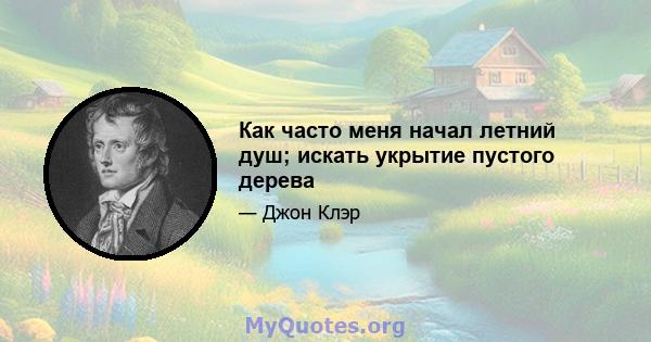 Как часто меня начал летний душ; искать укрытие пустого дерева