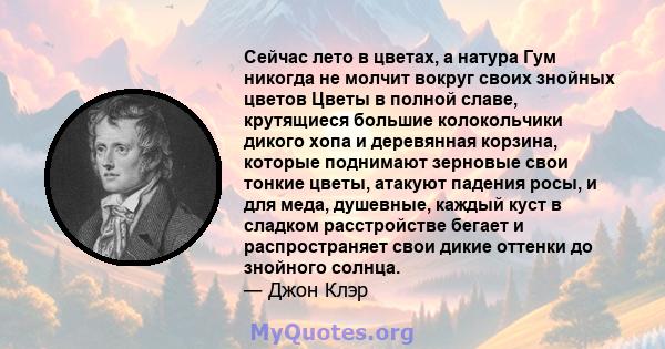 Сейчас лето в цветах, а натура Гум никогда не молчит вокруг своих знойных цветов Цветы в полной славе, крутящиеся большие колокольчики дикого хопа и деревянная корзина, которые поднимают зерновые свои тонкие цветы,