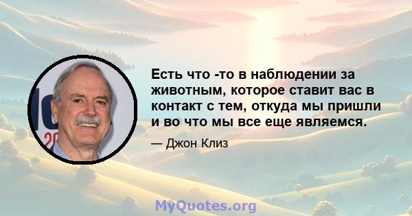 Есть что -то в наблюдении за животным, которое ставит вас в контакт с тем, откуда мы пришли и во что мы все еще являемся.