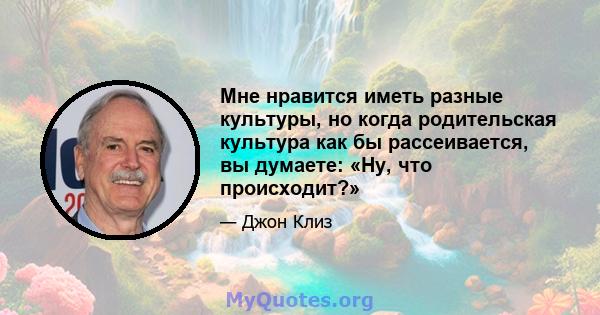 Мне нравится иметь разные культуры, но когда родительская культура как бы рассеивается, вы думаете: «Ну, что происходит?»