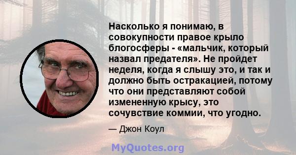 Насколько я понимаю, в совокупности правое крыло блогосферы - «мальчик, который назвал предателя». Не пройдет неделя, когда я слышу это, и так и должно быть остракацией, потому что они представляют собой измененную