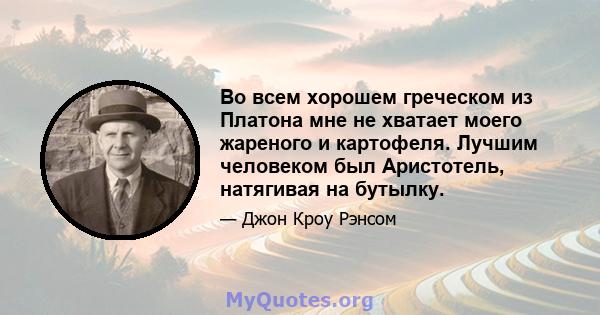 Во всем хорошем греческом из Платона мне не хватает моего жареного и картофеля. Лучшим человеком был Аристотель, натягивая на бутылку.