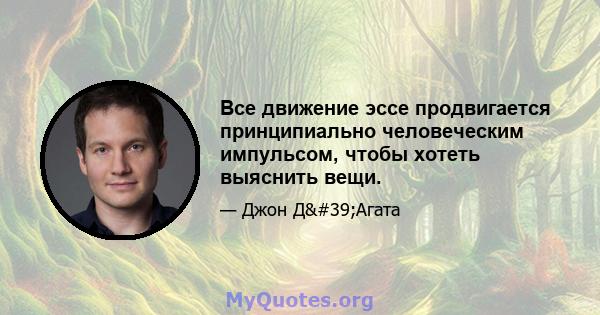 Все движение эссе продвигается принципиально человеческим импульсом, чтобы хотеть выяснить вещи.