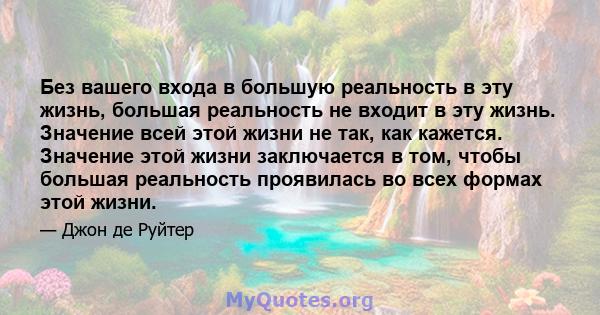 Без вашего входа в большую реальность в эту жизнь, большая реальность не входит в эту жизнь. Значение всей этой жизни не так, как кажется. Значение этой жизни заключается в том, чтобы большая реальность проявилась во