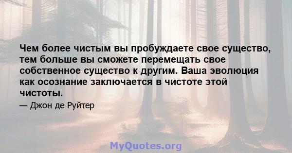 Чем более чистым вы пробуждаете свое существо, тем больше вы сможете перемещать свое собственное существо к другим. Ваша эволюция как осознание заключается в чистоте этой чистоты.