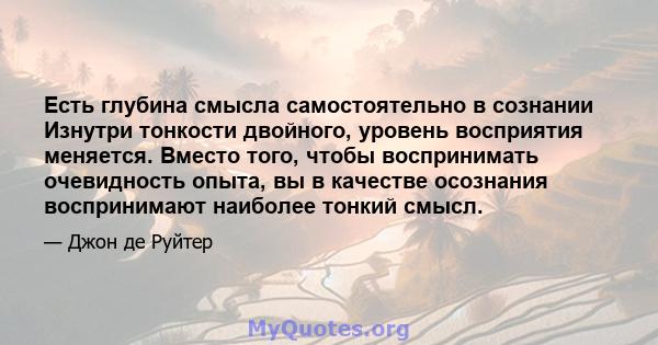 Есть глубина смысла самостоятельно в сознании Изнутри тонкости двойного, уровень восприятия меняется. Вместо того, чтобы воспринимать очевидность опыта, вы в качестве осознания воспринимают наиболее тонкий смысл.