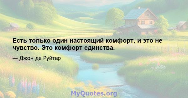 Есть только один настоящий комфорт, и это не чувство. Это комфорт единства.