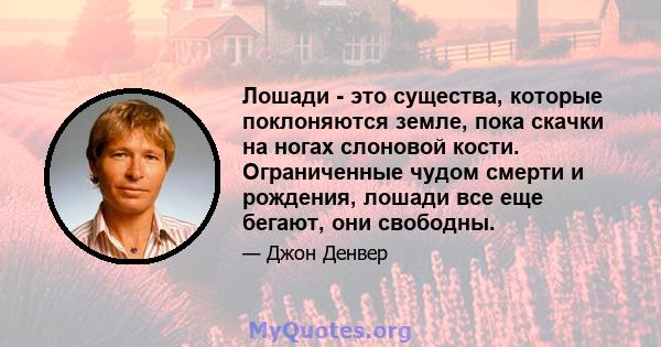 Лошади - это существа, которые поклоняются земле, пока скачки на ногах слоновой кости. Ограниченные чудом смерти и рождения, лошади все еще бегают, они свободны.