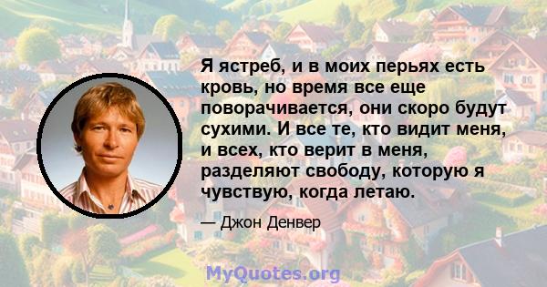 Я ястреб, и в моих перьях есть кровь, но время все еще поворачивается, они скоро будут сухими. И все те, кто видит меня, и всех, кто верит в меня, разделяют свободу, которую я чувствую, когда летаю.