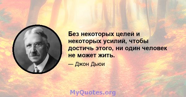 Без некоторых целей и некоторых усилий, чтобы достичь этого, ни один человек не может жить.