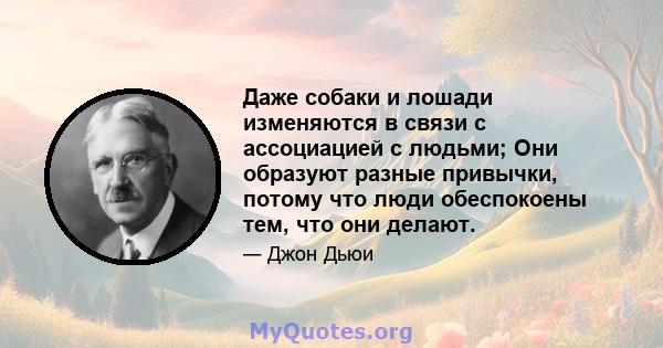 Даже собаки и лошади изменяются в связи с ассоциацией с людьми; Они образуют разные привычки, потому что люди обеспокоены тем, что они делают.