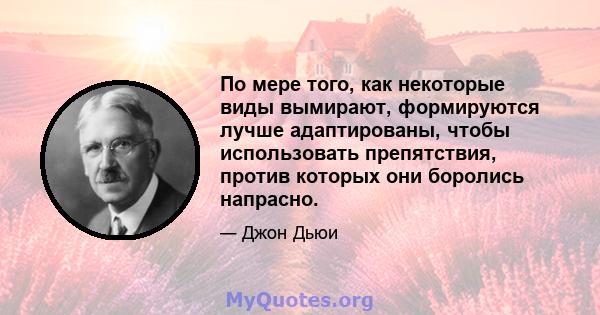 По мере того, как некоторые виды вымирают, формируются лучше адаптированы, чтобы использовать препятствия, против которых они боролись напрасно.