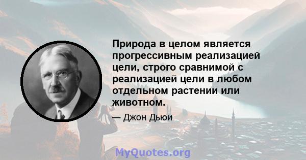 Природа в целом является прогрессивным реализацией цели, строго сравнимой с реализацией цели в любом отдельном растении или животном.