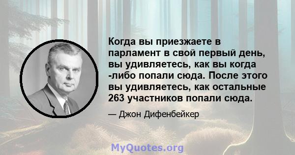 Когда вы приезжаете в парламент в свой первый день, вы удивляетесь, как вы когда -либо попали сюда. После этого вы удивляетесь, как остальные 263 участников попали сюда.