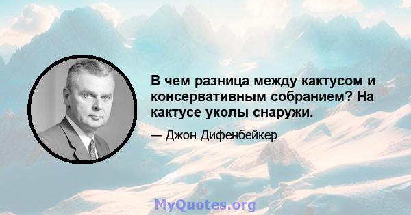 В чем разница между кактусом и консервативным собранием? На кактусе уколы снаружи.