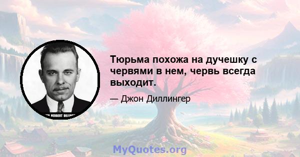 Тюрьма похожа на дучешку с червями в нем, червь всегда выходит.