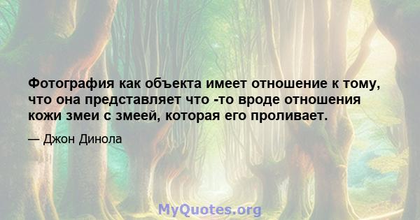 Фотография как объекта имеет отношение к тому, что она представляет что -то вроде отношения кожи змеи с змеей, которая его проливает.