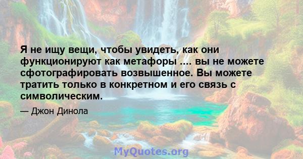 Я не ищу вещи, чтобы увидеть, как они функционируют как метафоры .... вы не можете сфотографировать возвышенное. Вы можете тратить только в конкретном и его связь с символическим.