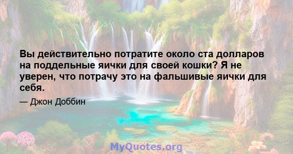 Вы действительно потратите около ста долларов на поддельные яички для своей кошки? Я не уверен, что потрачу это на фальшивые яички для себя.