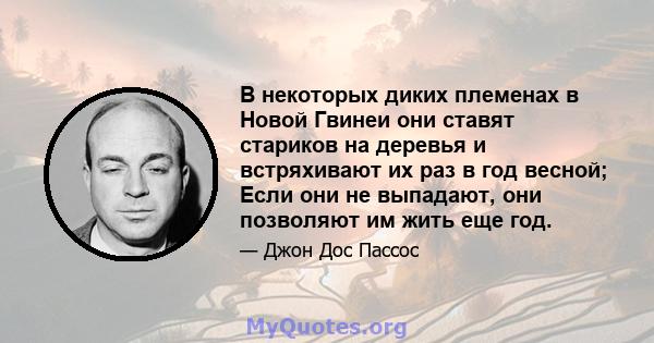 В некоторых диких племенах в Новой Гвинеи они ставят стариков на деревья и встряхивают их раз в год весной; Если они не выпадают, они позволяют им жить еще год.