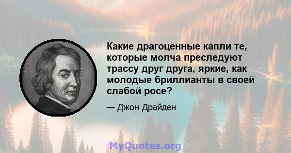 Какие драгоценные капли те, которые молча преследуют трассу друг друга, яркие, как молодые бриллианты в своей слабой росе?