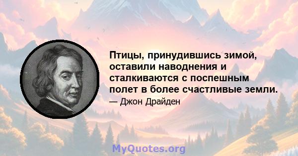 Птицы, принудившись зимой, оставили наводнения и сталкиваются с поспешным полет в более счастливые земли.