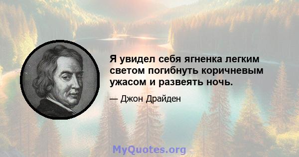 Я увидел себя ягненка легким светом погибнуть коричневым ужасом и развеять ночь.