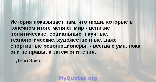 История показывает нам, что люди, которые в конечном итоге меняют мир - великие политические, социальные, научные, технологические, художественные, даже спортивные революционеры, - всегда с ума, пока они не правы, а